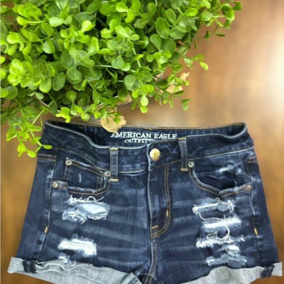 American Eagle Outfitters Womens Shorts Size 4 Blue Destressed - Picture 5 of 7